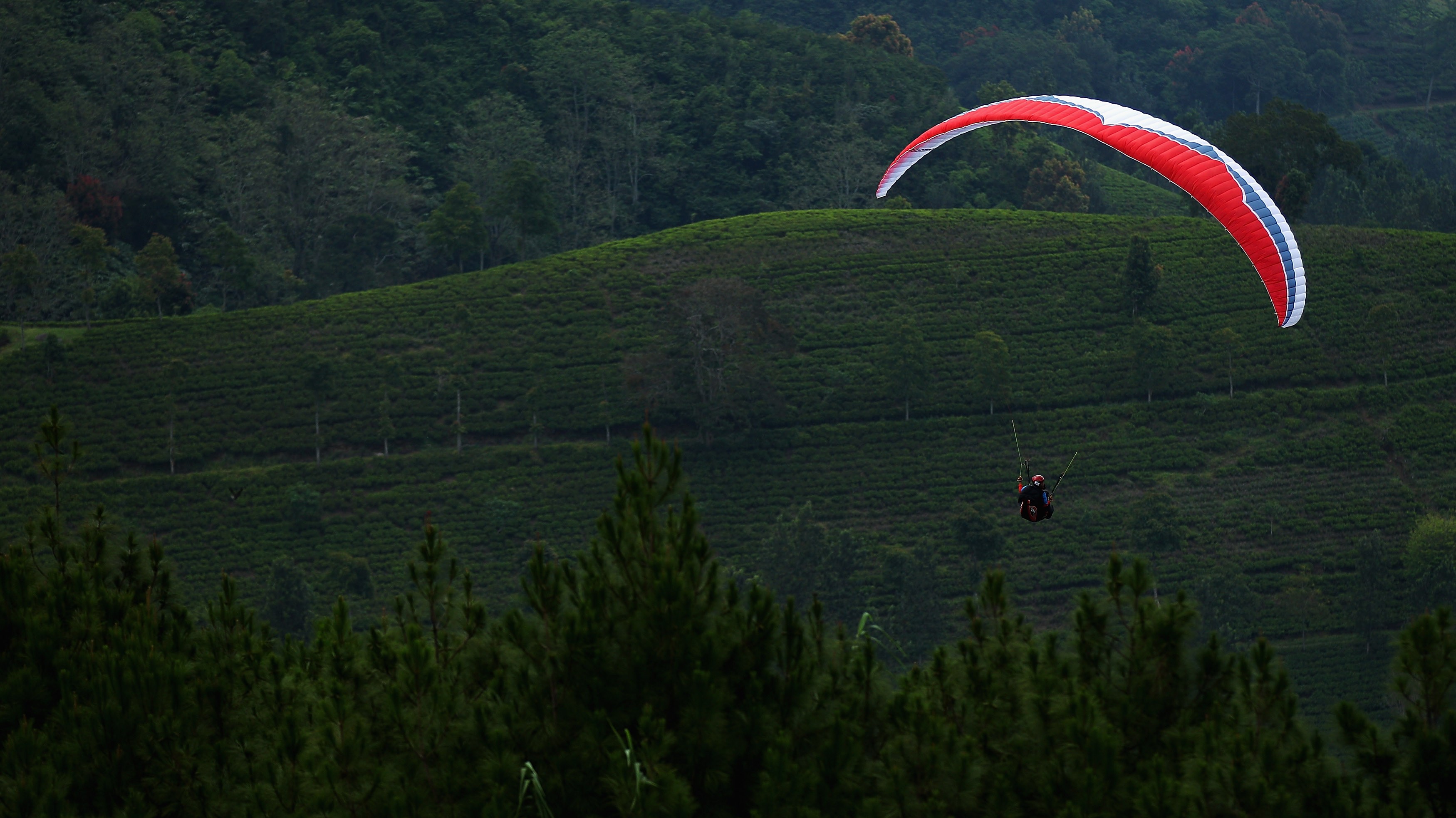 Paragliding_kopce_stromy
